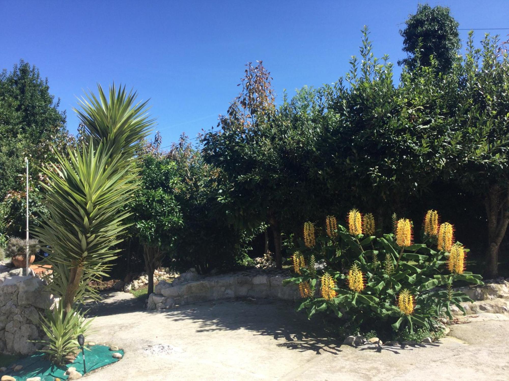 Casa Jardin Rocablanca Llanes